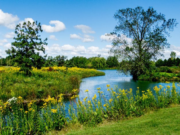 Обои картинки фото природа, реки, озера, лес, река