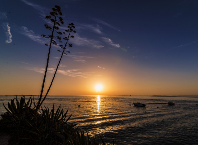 Обои картинки фото природа, восходы, закаты, утро, рассвет