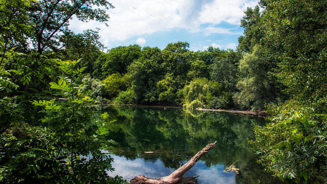 Обои картинки фото природа, реки, озера, лес, река