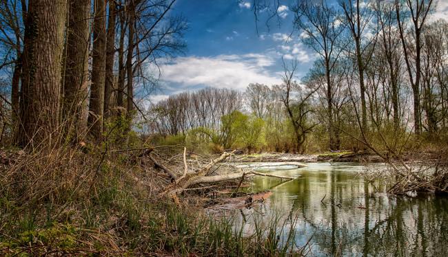 Обои картинки фото природа, реки, озера, лес, река, осень