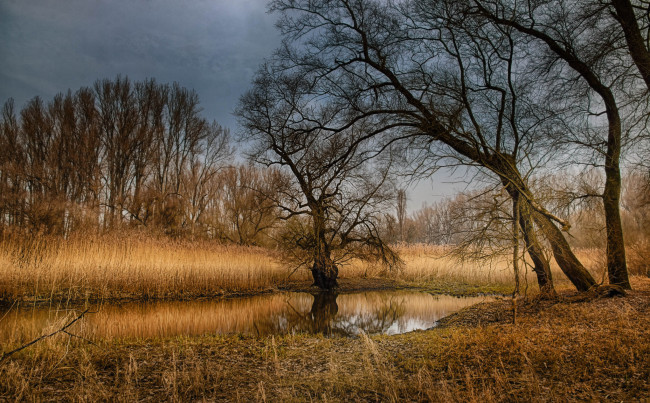 Обои картинки фото природа, реки, озера, лес, река, осень