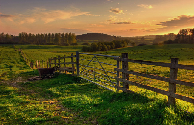 Обои картинки фото природа, дороги, поле, изгородь, тропинка