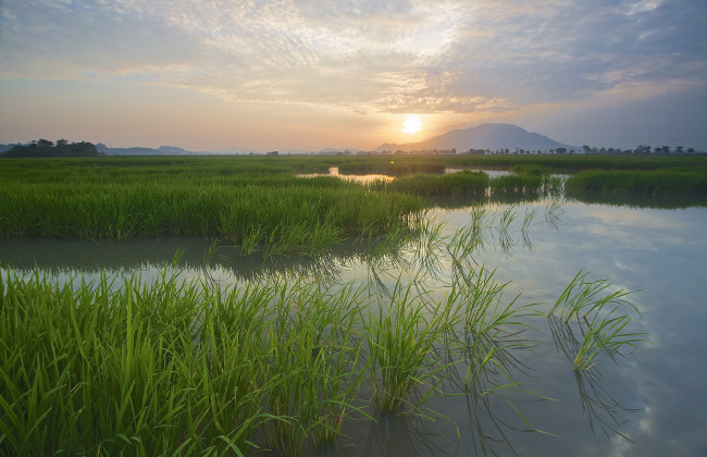 Обои картинки фото природа, восходы, закаты, рассвет