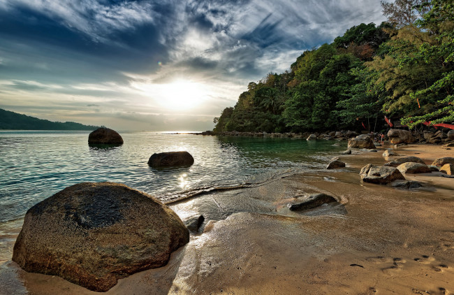 Обои картинки фото природа, тропики, пляж, лес