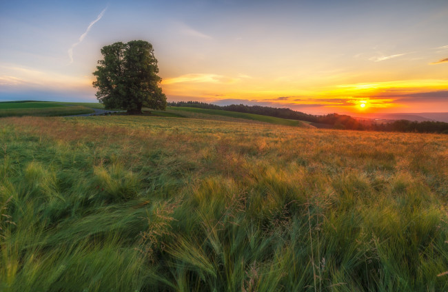 Обои картинки фото природа, восходы, закаты, рассвет