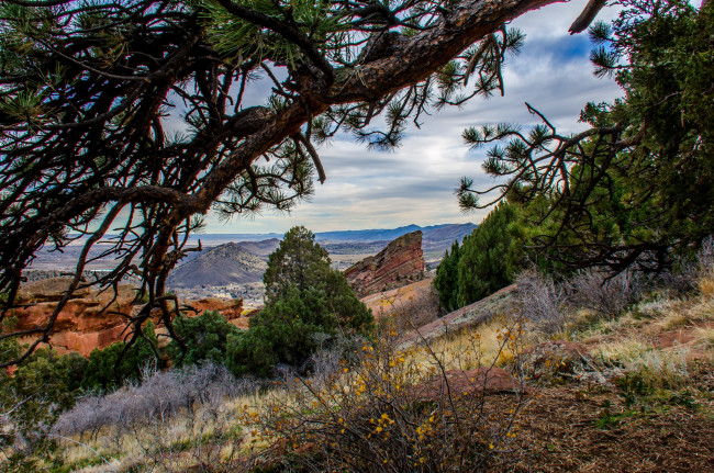 Обои картинки фото природа, горы, склон, деревья