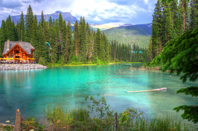 Обои картинки фото природа, реки, озера, лес, река