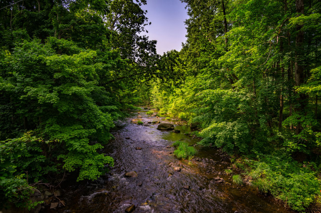 Обои картинки фото природа, реки, озера, река, лес