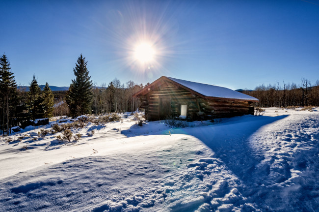 Обои картинки фото природа, зима, свет, снег, лес, поле