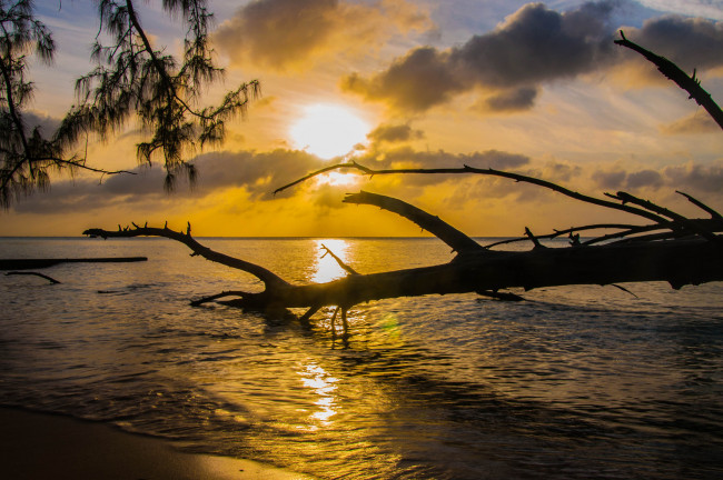 Обои картинки фото природа, восходы, закаты, закат