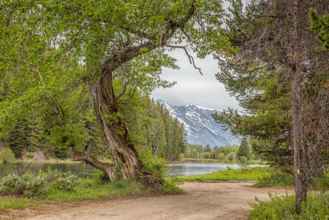 Обои картинки фото природа, дороги, лес, река, тропинка