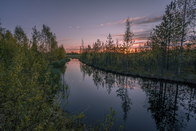 Обои картинки фото природа, реки, озера, лес, река