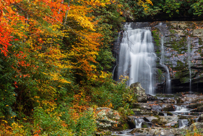 Обои картинки фото природа, водопады, лес, река, водопад