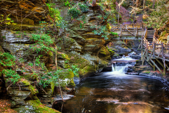 Обои картинки фото природа, водопады, лес, река, водопад