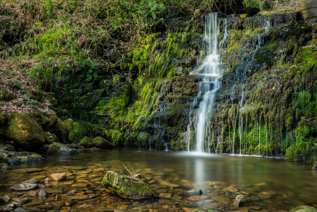 Обои картинки фото природа, водопады, лес, река, водопад