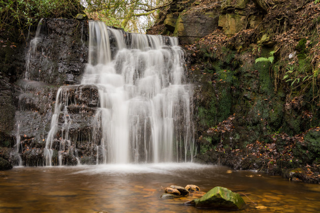 Обои картинки фото природа, водопады, водопад, лес, река