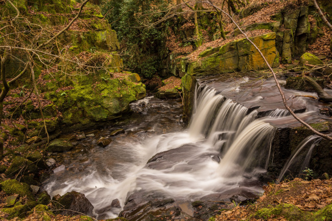 Обои картинки фото природа, водопады, водопад, река, лес
