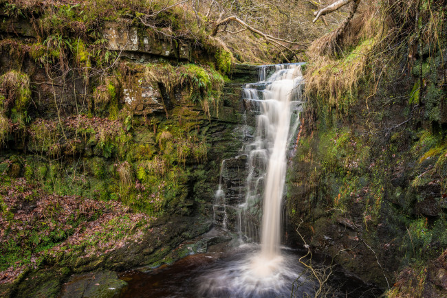 Обои картинки фото природа, водопады, водопад, река, лес