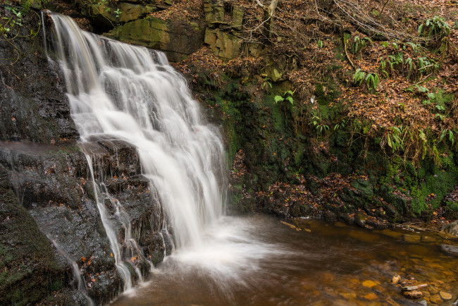 Обои картинки фото природа, водопады, водопад, река, лес