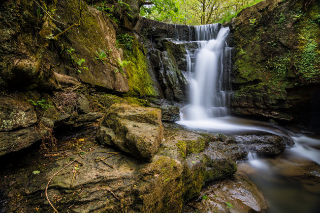 Обои картинки фото природа, водопады, водопад, река, лес