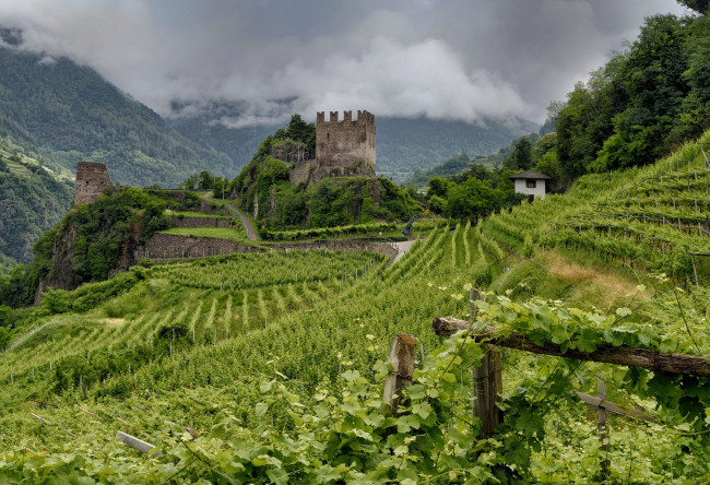 Обои картинки фото природа, поля