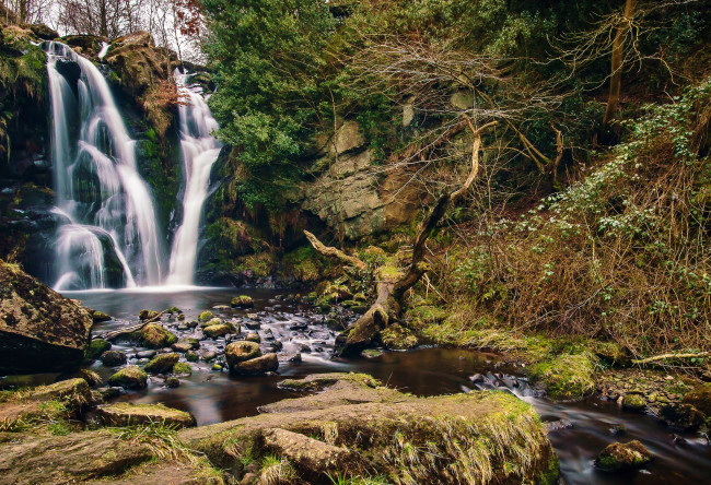 Обои картинки фото природа, водопады, лес, река, водопад