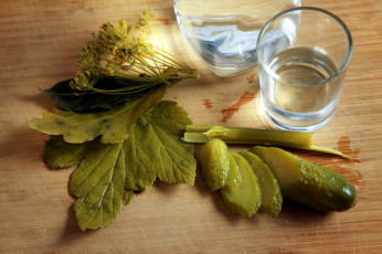 Картинка еда огурцы укроп огурец водка рюмка листья