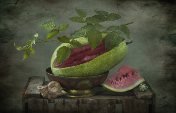 Картинка еда арбуз ракушки листья