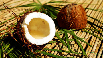 Картинка еда кокос половинки зелень