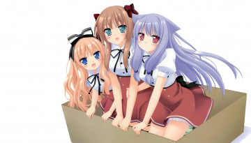 Картинка аниме mayoi+neko+overrun mayoi neko overrun