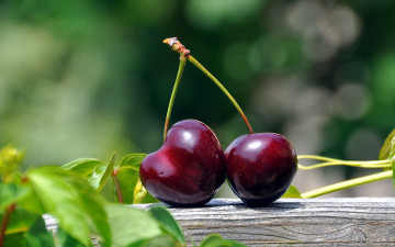 Картинка еда вишня +черешня пара вишенки