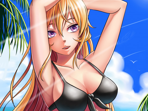 Обои картинки фото аниме, shokugeki no soma, девушка