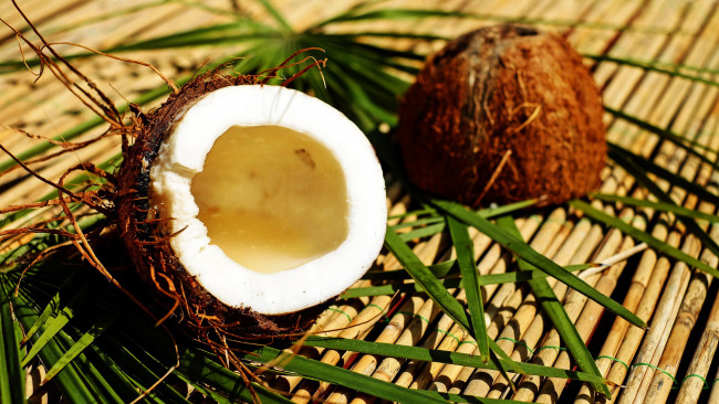 Обои картинки фото еда, кокос, половинки, зелень