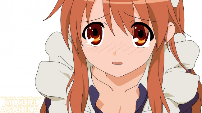 Обои картинки фото the melancholy of haruhi suzumiya, аниме, фон, взгляд, девушка