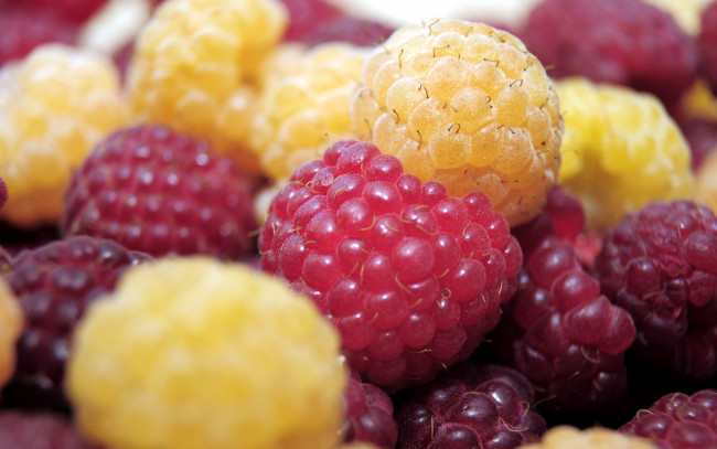 Обои картинки фото еда, малина, макро, ягоды