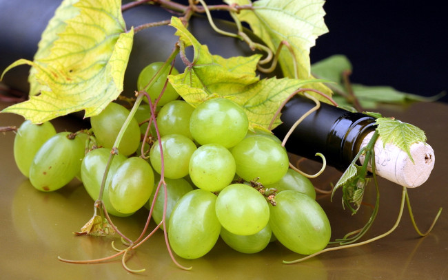 Обои картинки фото еда, виноград, листья, пробка, бутылка, ягоды