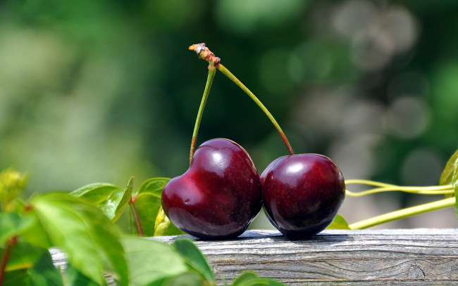 Обои картинки фото еда, вишня,  черешня, пара, вишенки
