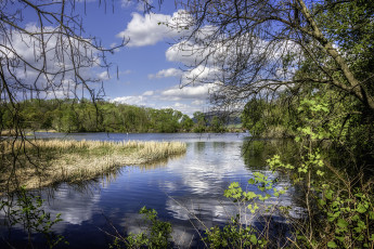 Картинка природа реки озера простор