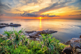 Картинка природа восходы закаты трава восход море пейзаж