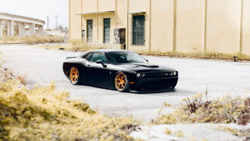 Картинка автомобили dodge challenger srt8