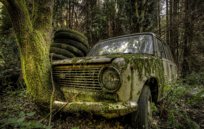 Обои картинки фото интересно,  автомобиль на ходу, автомобили, ваз, автомобиль, белый, лес, мох