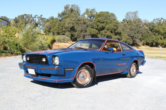 Обои картинки фото автомобили, mustang