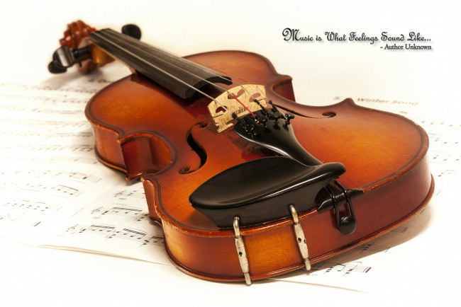 Обои картинки фото музыка, -музыкальные инструменты, скрипка