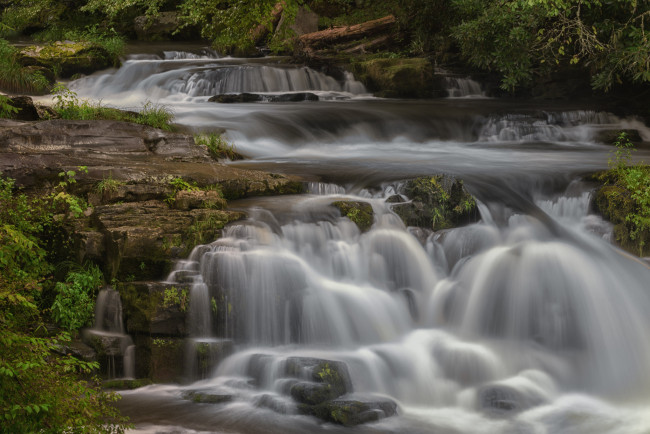 Обои картинки фото природа, водопады, поток, водопад, вода, деревья