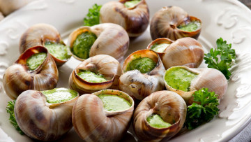 Картинка еда рыбные+блюда +с+морепродуктами улитки