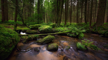 Картинка природа реки озера камни река