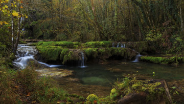 Картинка природа реки озера лес река