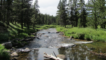 Картинка природа реки озера лес река