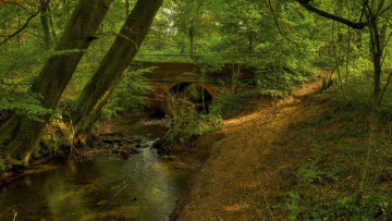 Картинка природа реки озера мост река