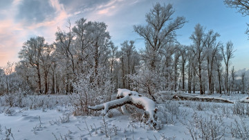 Картинка природа зима снег